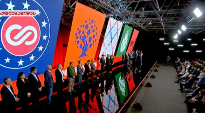 სოფო ჯაფარიძე, ნიკა ვაჩეიშვილი, ანა ბიბილაშვილი… – ნიკა მელიამ კოალიციური გუნდი წარადგინა