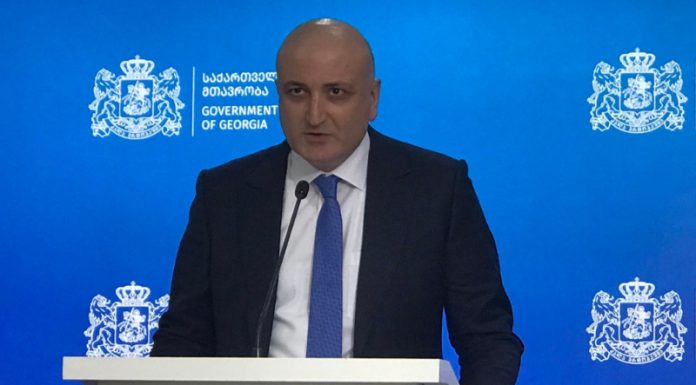 ჯანდაცვის ახალი მინისტრი მუშაობას 30 დეკემბრიდან შეუდგება