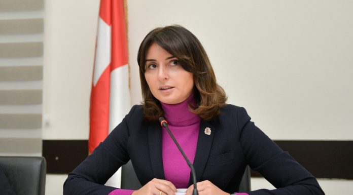 რუსთავის მერი მონიტორინგის მიზნით, ინფრასტრუქტურული სამუშაოების მიმდინარეობას გაეცნო