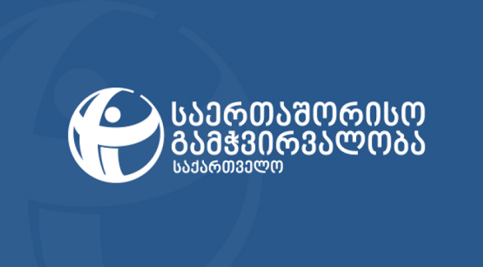 TI: დავით ხიდაშელთან დადებული გარიგების შედეგად საქართველომ 2 მილიონი ლარის შემოსავალი დაკარგა
