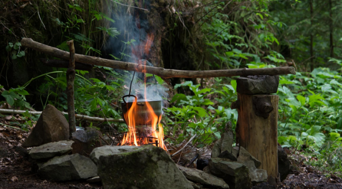 გორში გორიჯვრის მიმდებარედ საპიკნიპე ზონის მოსაწყობად ტენდერი გამოცხადდა