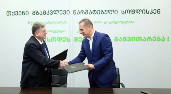 აფხაზეთიდან იძულებით გადაადგილებული პირები სახელმწიფო პროგრამაში „დანერგე მომავალი“ დამატებით ბენეფიტს მიიღებენ