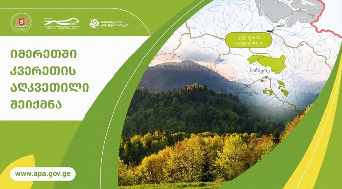 საჩხერის მუნიციპალიტეტში, ახალი დაცული ტერიტორია, კვერეთის აღკვეთილი დაარსდება