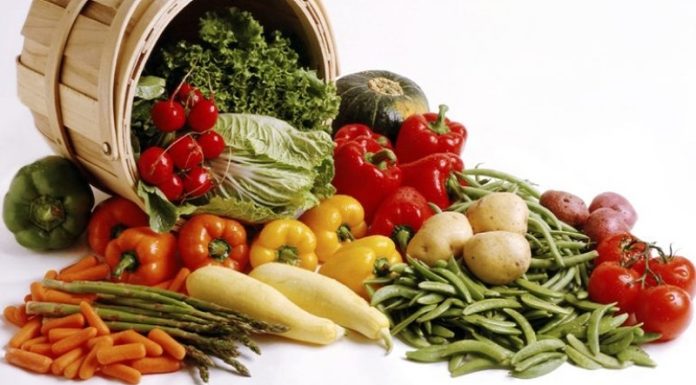 სახელმწიფო ბიოწარმოების ხელშეწყობას 2023 წელსაც გააგრძელებს