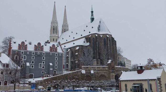 ამბავი პირველი: ჩემი ქუჩა ახალ ქალაქში