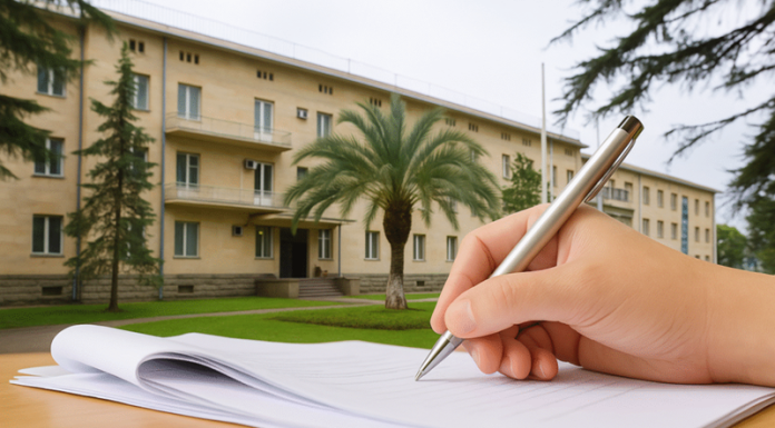 მოქალაქეთა პეტიციები ოზურგეთში – რას ყვება სტატისტიკა